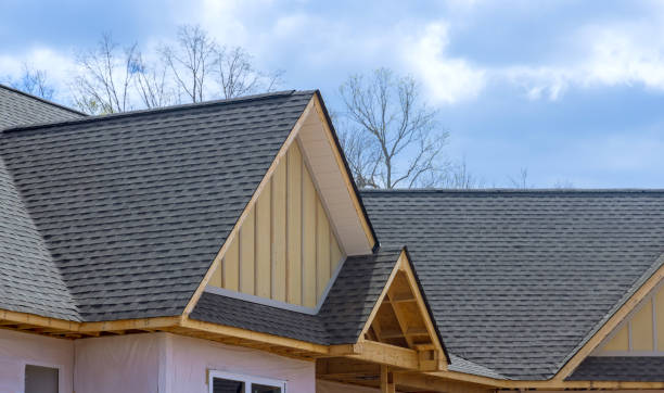 Best Asphalt Shingle Roofing  in Wainaku, HI