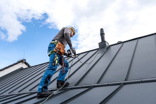 Best Roof Maintenance and Cleaning  in Wainaku, HI